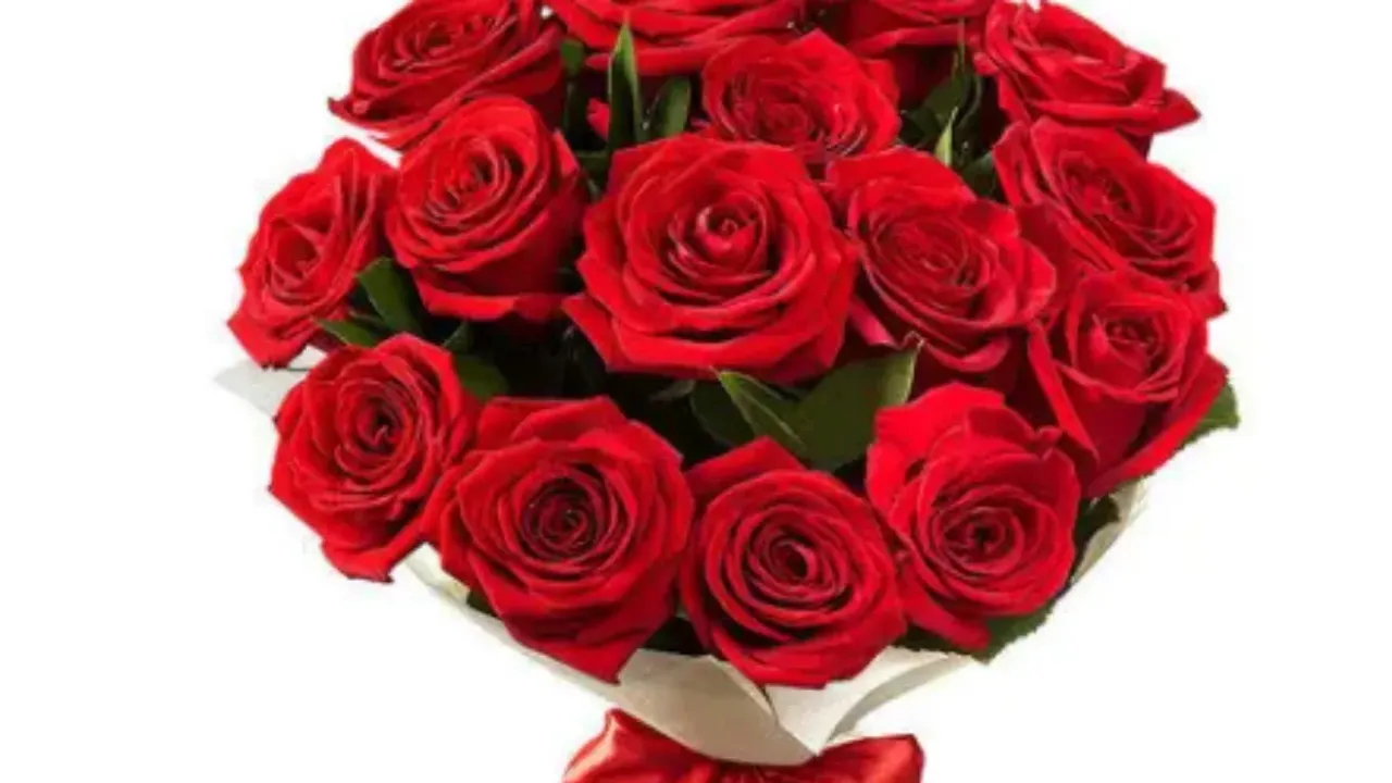 Valentine Week : వాలెంటైన్స్‌ వీక్‌ గులాబీలతో ఎందుకు మొదలవుతుందో తెలుసా!