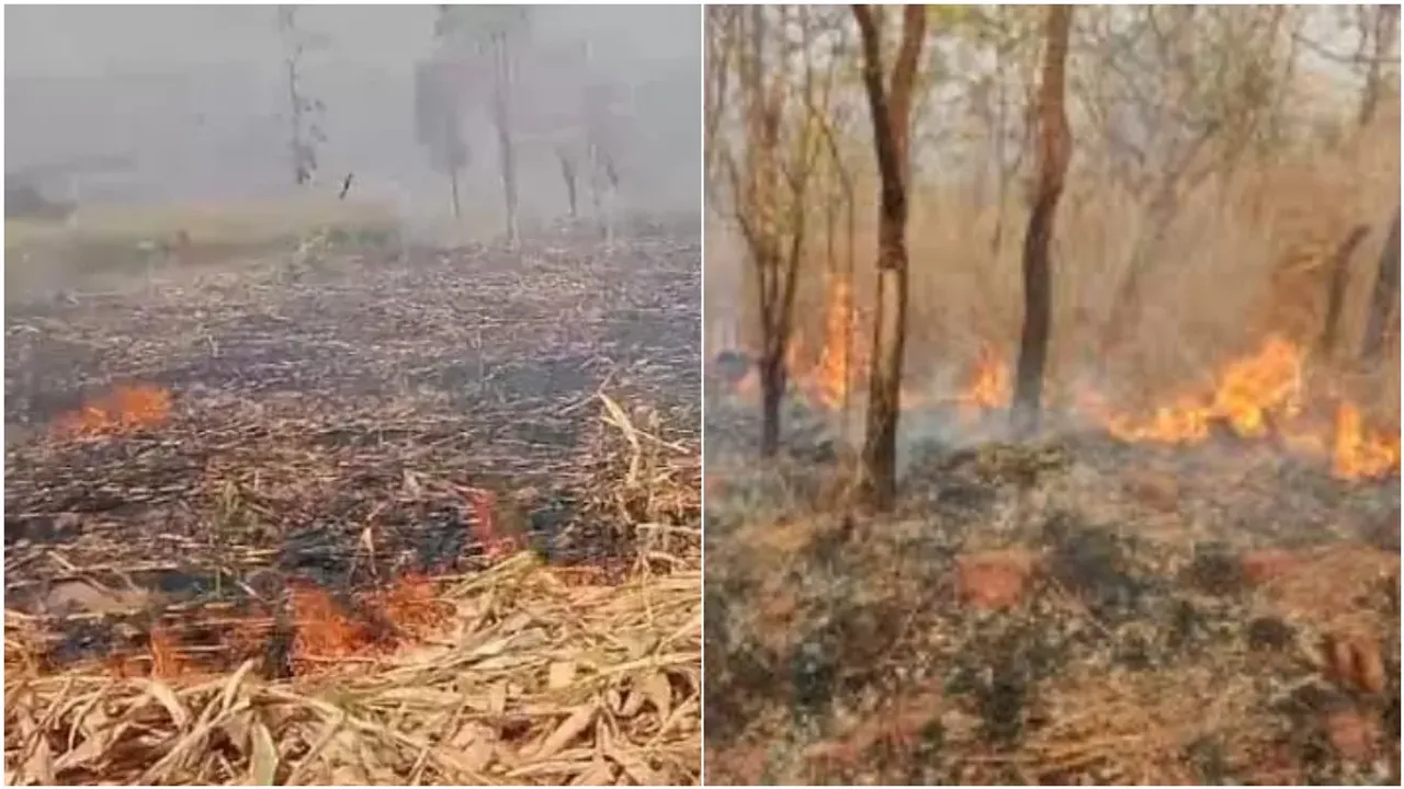 Fire accident: బయ్యారంలో భారీ అగ్ని ప్రమాదం.. కాలి బూడిదైన మొక్కజొన్న పంట!