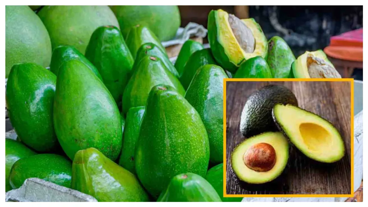Health:  ఈ ఆహారం తీసుకుంటే బరువు తగ్గి అందంగా ఉంటారు!