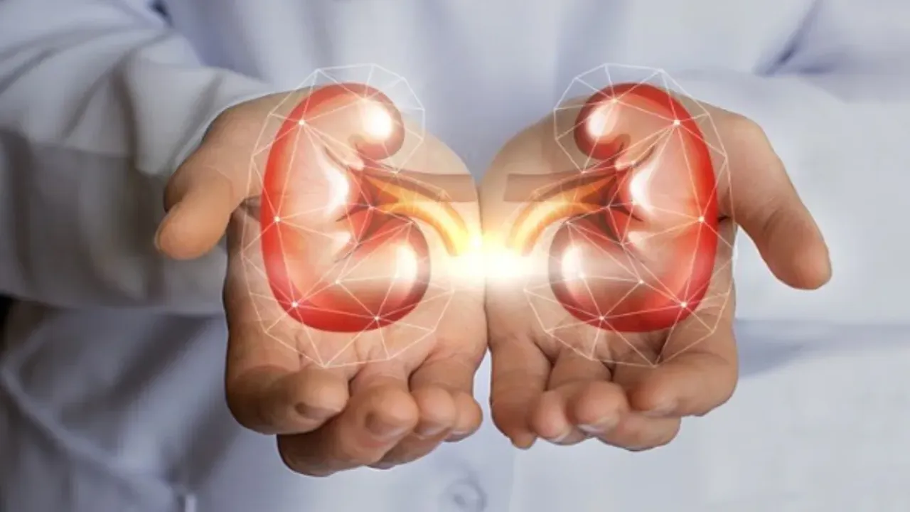 Single kidney : ఇలా చేస్తే ఒక కిడ్నీ ఉన్నా సంతోషంగా జీవించవచ్చు