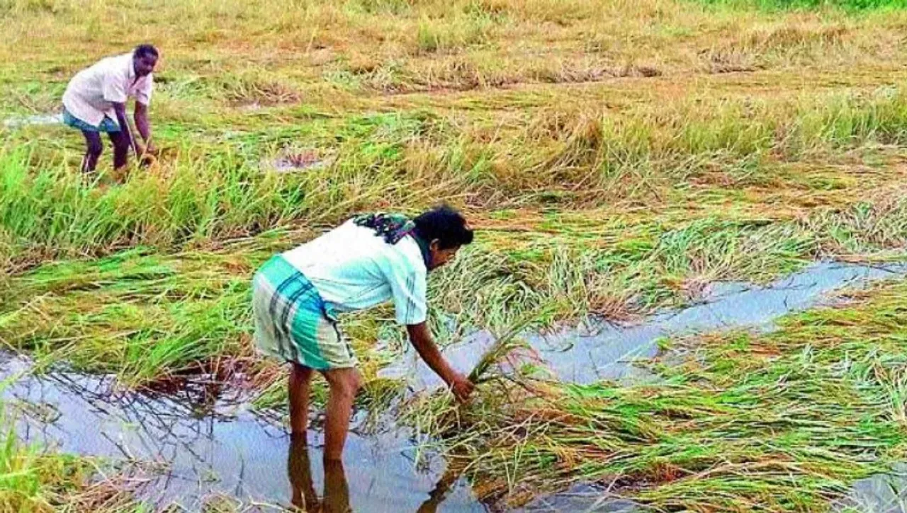 Telangana Farmers: రైతులకు గుడ్ న్యూస్ చెప్పిన రేవంత్ సర్కార్