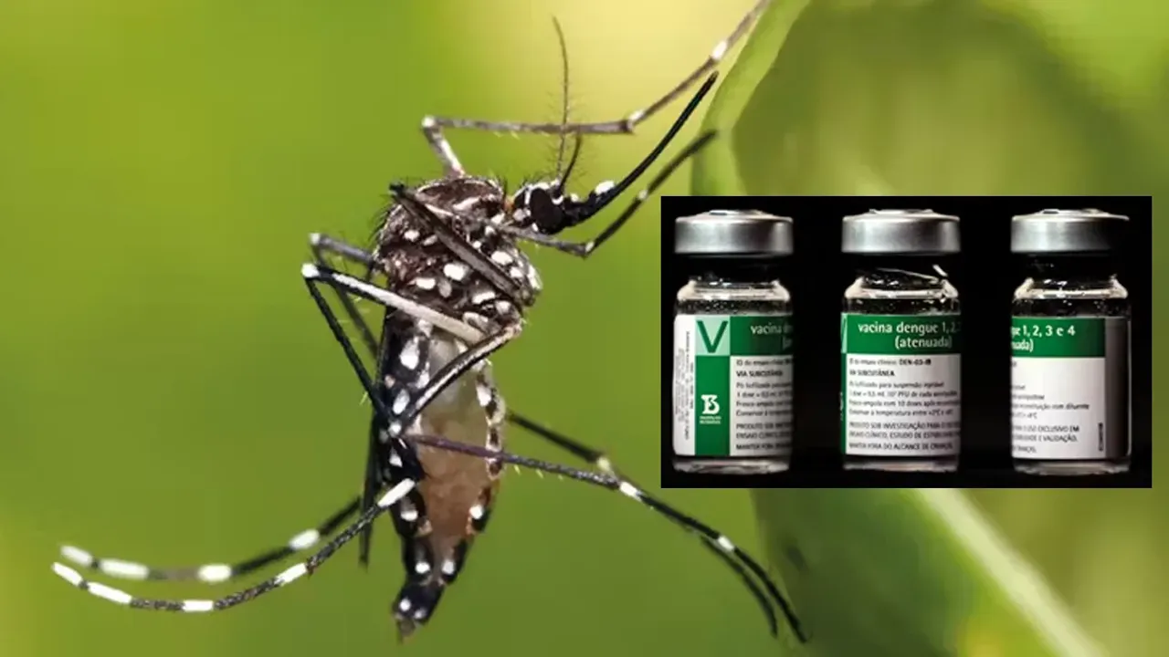 Vaccine for Dengue: డెంగీకి సింగిల్ డోస్ టీకా.. త్వరలోనే.. 
