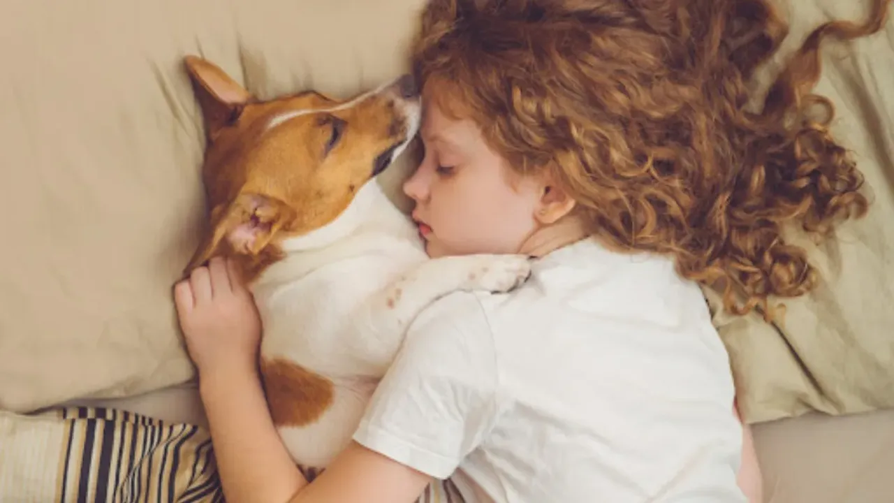 Pets Animals: పెంపుడు జంతువులతో కలిసి నిద్రిస్తే ఏమవుతుంది?