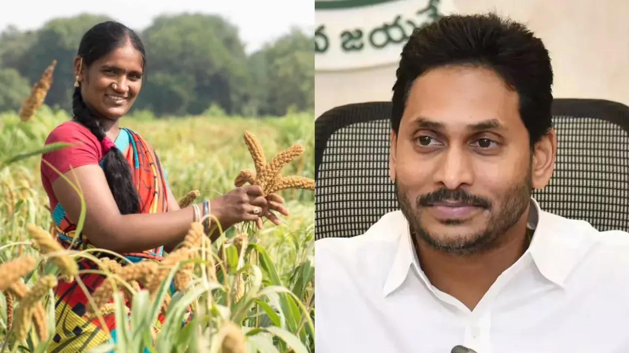 AP Farmers : రైతులకు జగన్‌ అదిరిపోయే గిఫ్ట్‌.. ఇవాళ అన్నదాతల ఖాతాలలో డబ్బులు జమ!