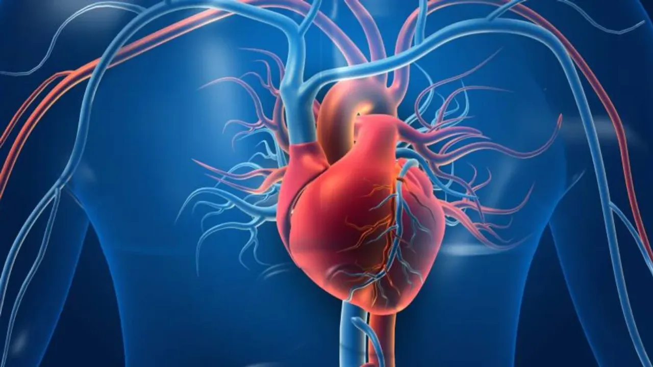 Heart Health: హార్ట్ బ్లాకేజ్ సంకేతాలు ఇవే.. ముందే గుర్తించకపోతే లైఫ్‌ డేంజర్‌లో పడినట్టే!