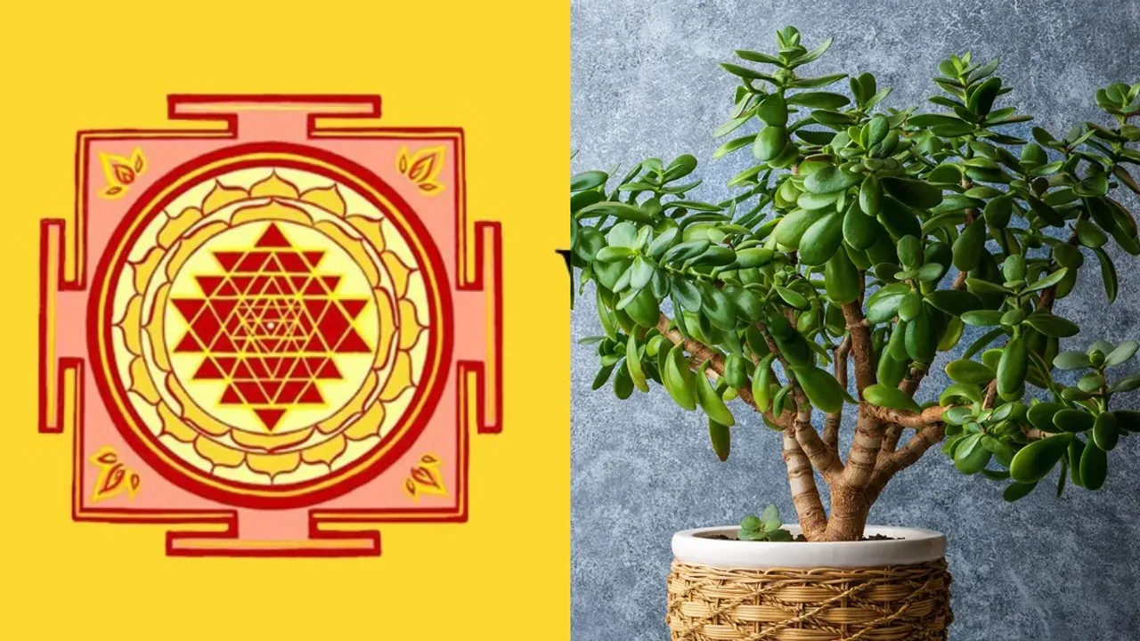 Vastu Shastra: ఏ వస్తువు ఆ దిశలో ఉండాలి..? ఇవి పాటిస్తే అదృష్టం తలుపులు తెరుచుకుంటుంది..!!