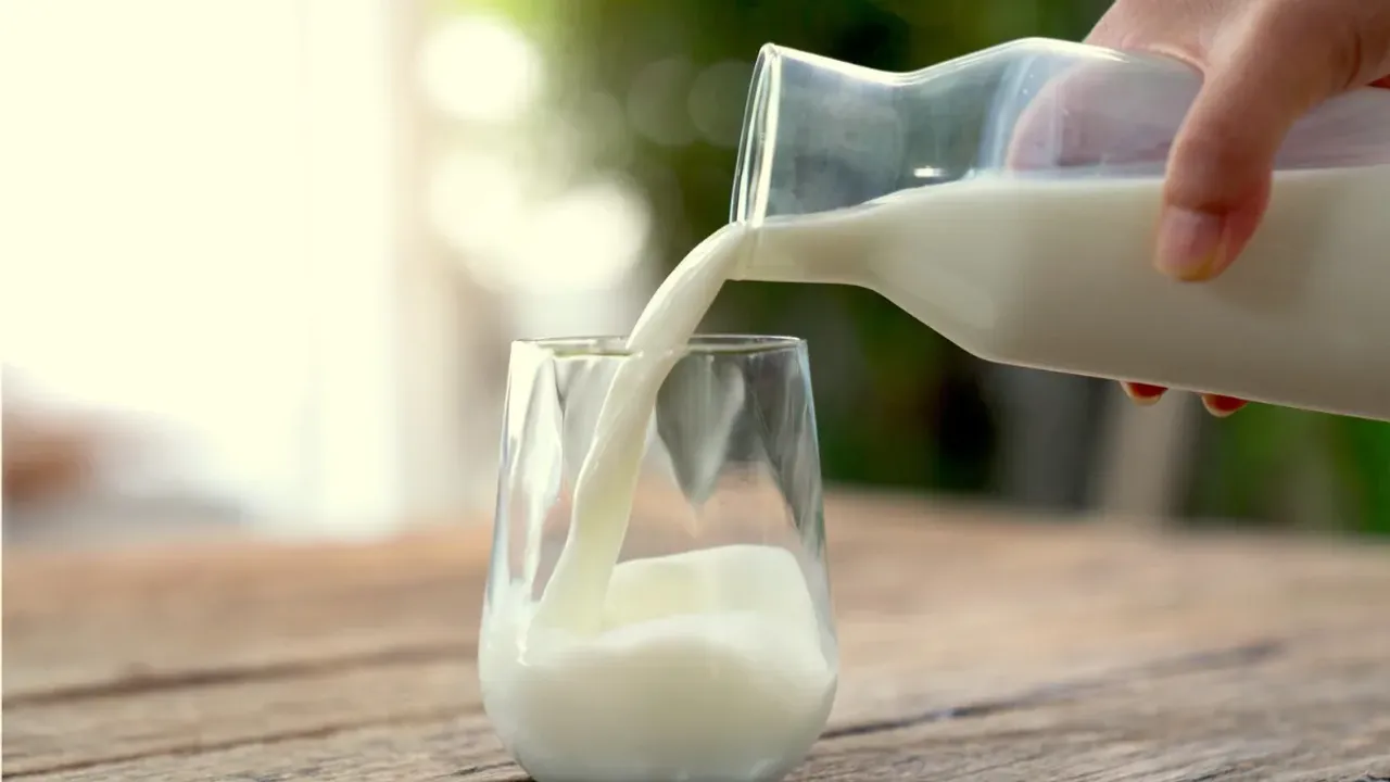 Milk: మిల్క్ చక్కని ఆరోగ్యానికి బెస్ట్.. కానీ, ఏ పాలు బెటర్.. తెలుసా?