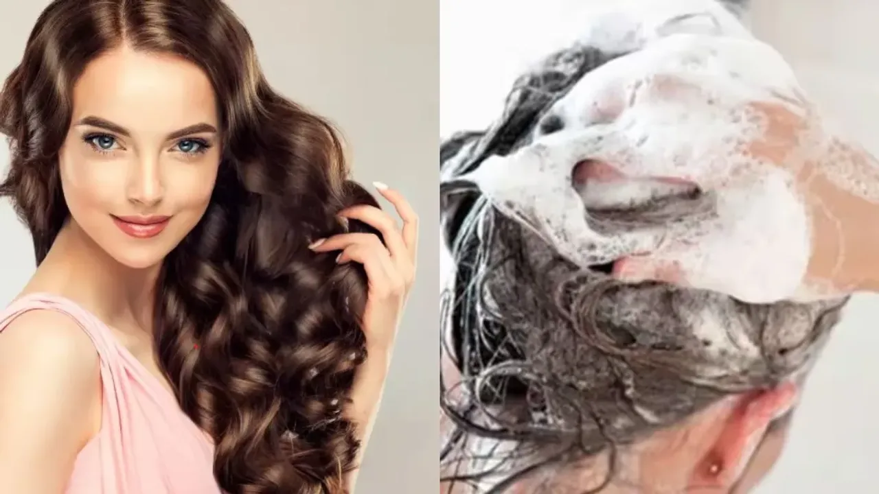 Hair Tips: ఈ రెండు పనులు చేస్తే మీ జుట్టు పట్టుకుని లాగినా ఊడదు