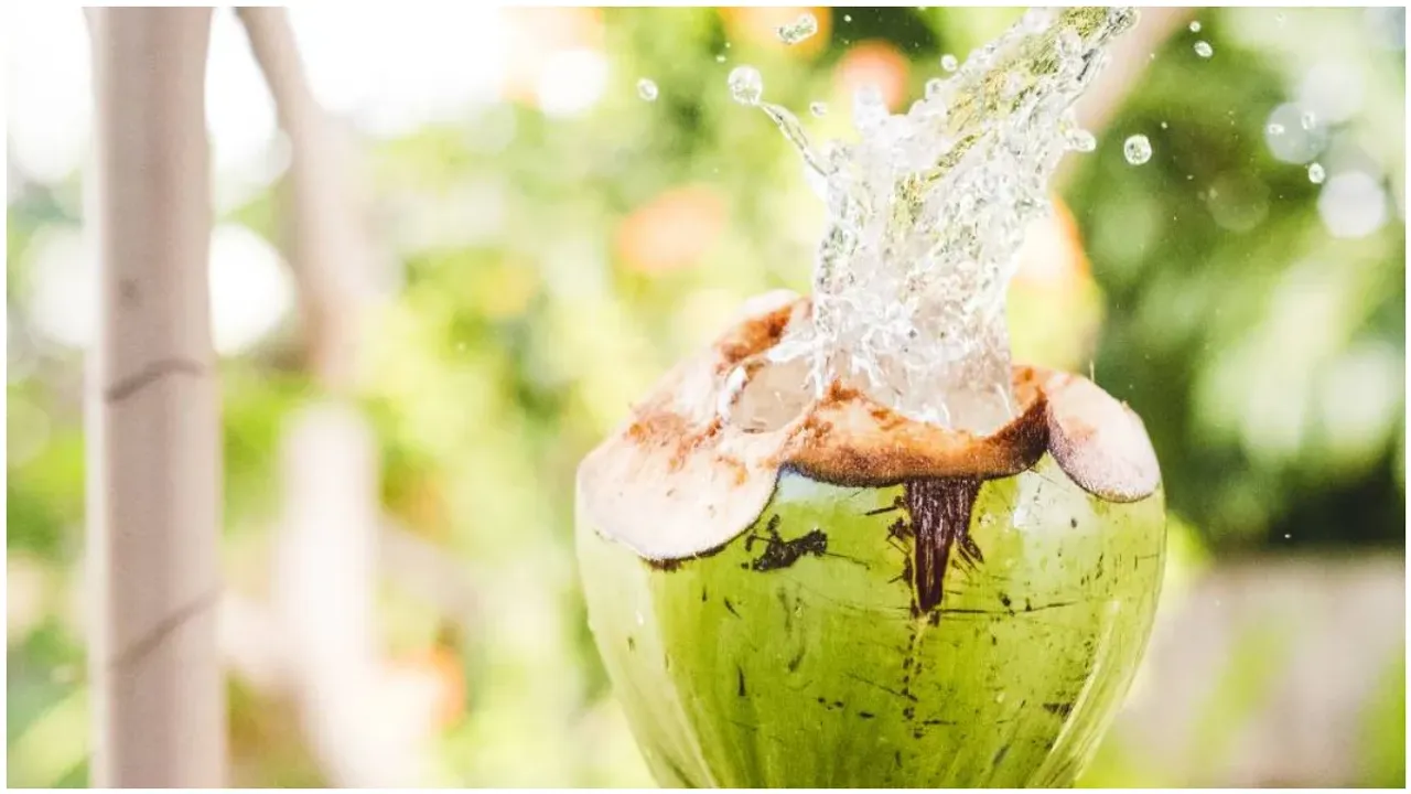 Coconut Water: కొబ్బరి బోండాం కొనేటప్పుడు ఈ టిప్స్ పాటిస్తే.. మీ డబ్బులకు న్యాయం జరిగినట్లే..!