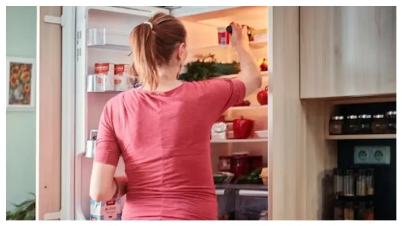 Fridge: మార్కెట్లోకి ఆర్టిఫిషియల్ ఇంటెలిజెన్స్ ఫ్రిడ్జ్!