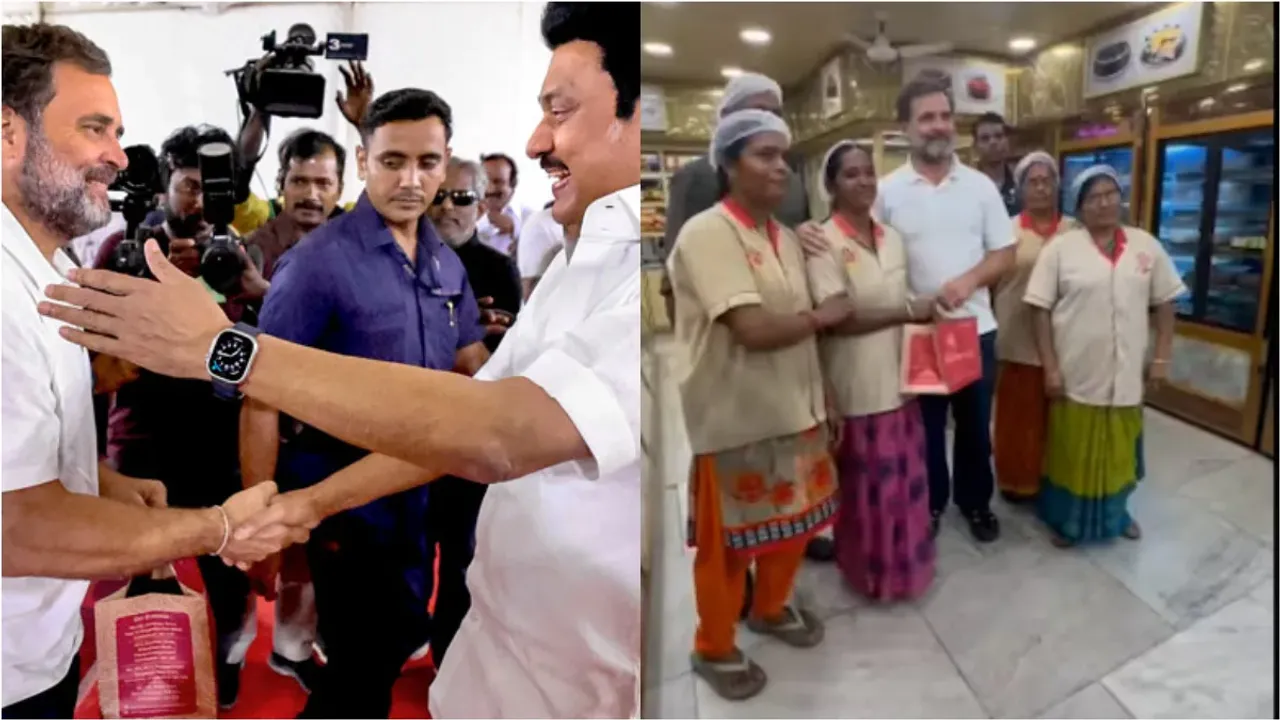 Rahul Gandhi: సీఎం స్టాలిన్ నోటిని తీపి చేసిన రాహుల్ గాంధీ..ఫేమస్ మైసూర్ పాక్ గిఫ్ట్