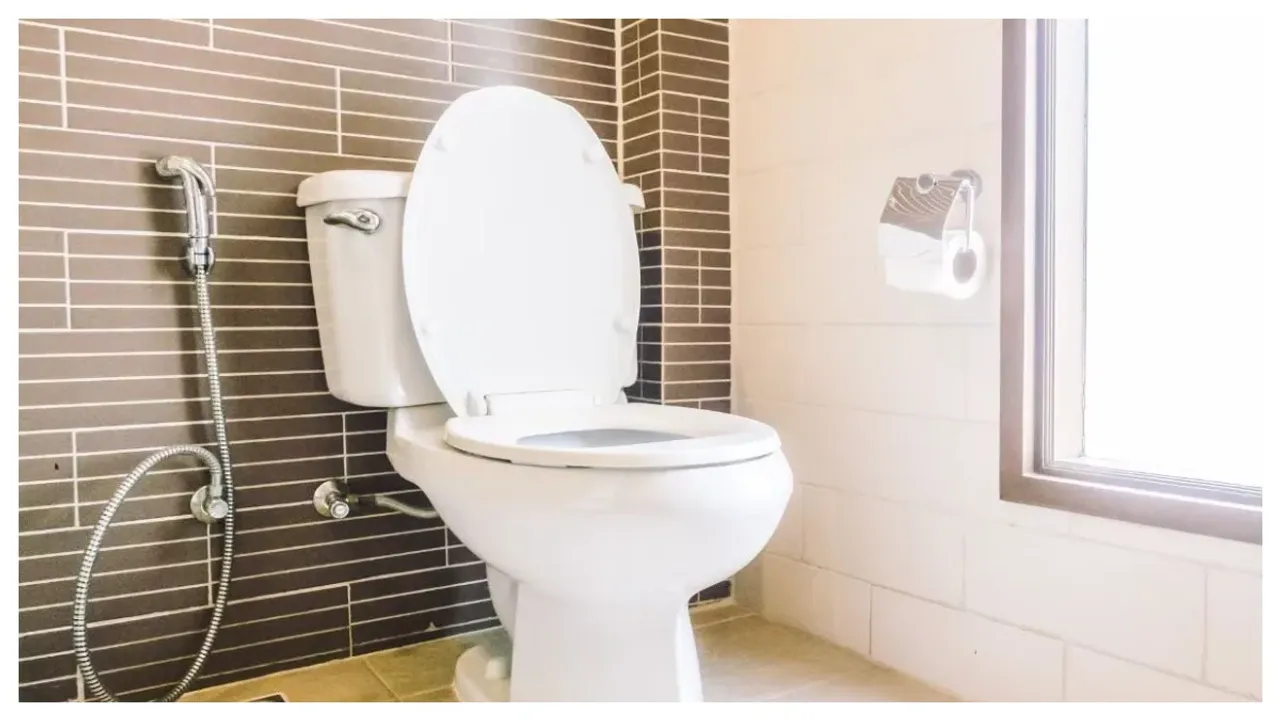Vastu Tips For Toilet: ఇంట్లో ఈ ప్రదేశంలో మరుగుదొడ్డి ఉంటే అనర్ధం!