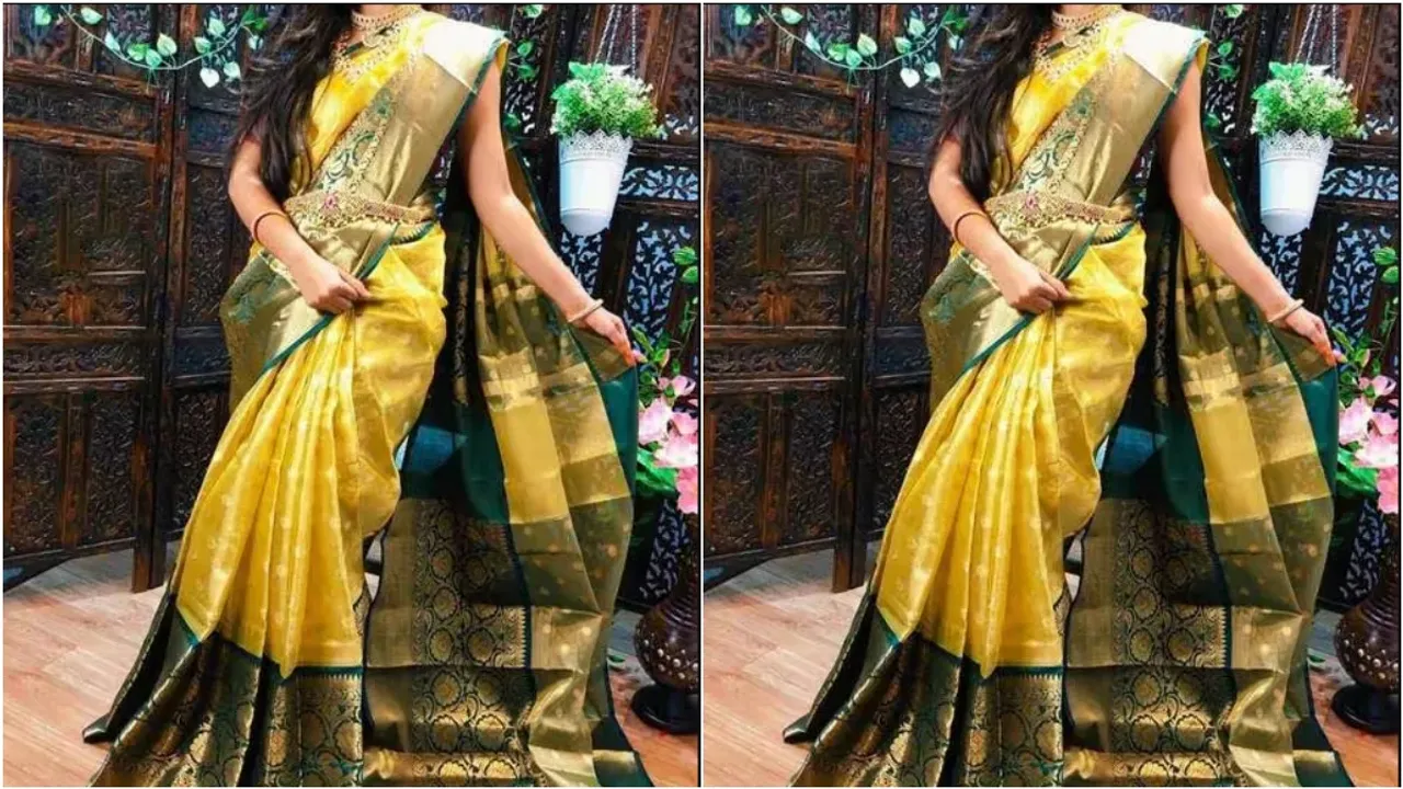 Silk Saree Hacks : సిల్క్ చీరలను భద్రపరిచే విషయంలో ఈ తప్పులు చేయకండి..!