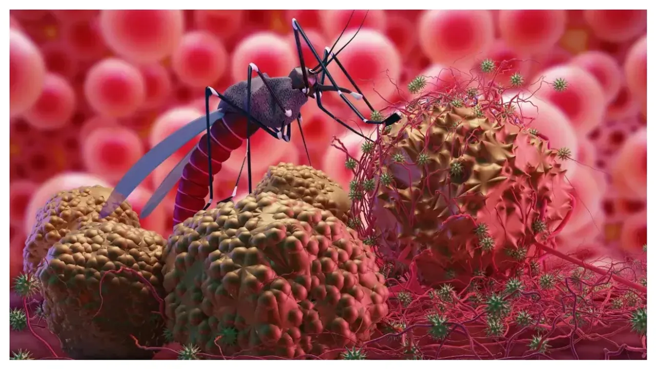 World Malaria Day 2024: మానవాళిని పీడించే మలేరియా నుంచి జాగ్రత్తపడదామిలా!
