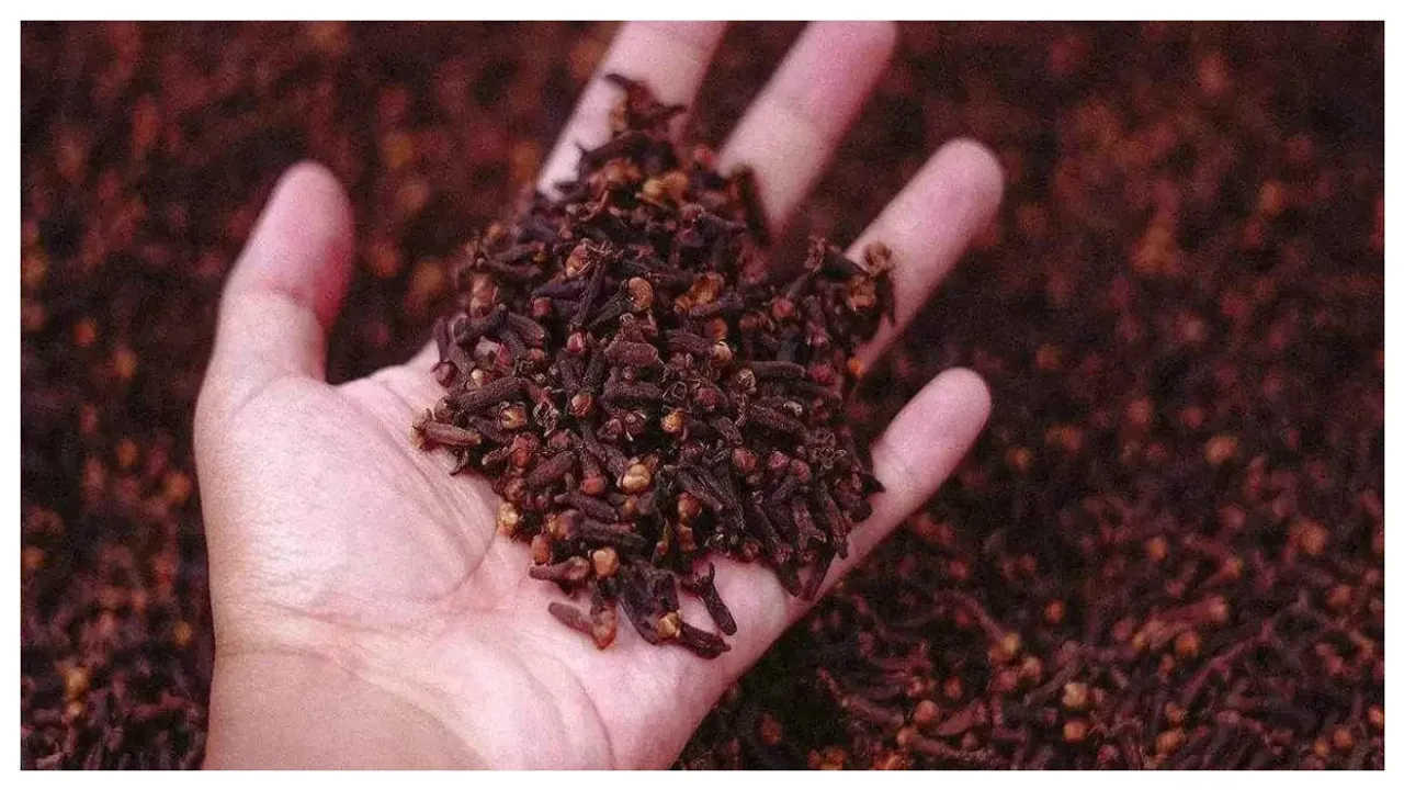 Clove : లవంగాన్ని తినండి.. శరీరంలో మార్పులు గుర్తించండి!