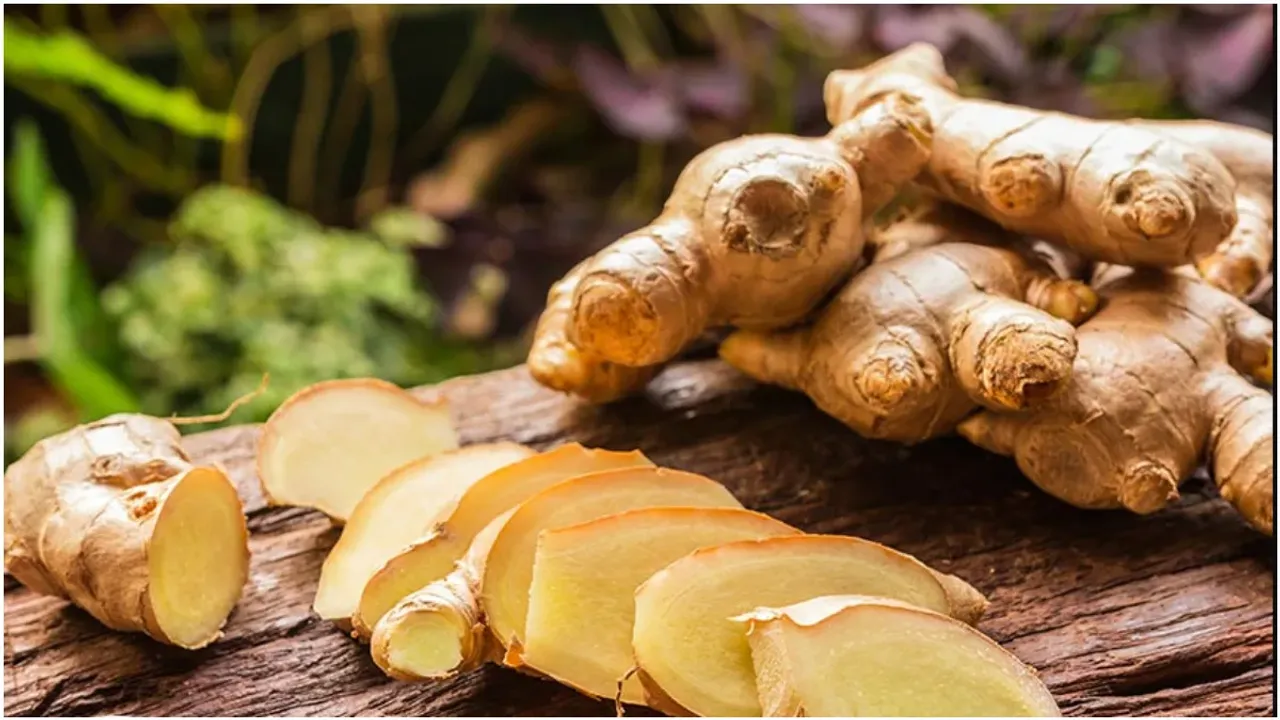 Kitchen Hacks: అల్లం త్వరగా ఎండిపోతుందా? వారాలపాటు తాజాగా ఉంచడానికి ఈ పని చేయండి..!
