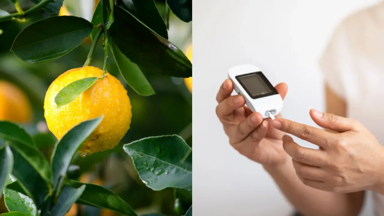 Sugar Levels: షుగర్ లెవెల్స్‌ తగ్గాలంటే నిమ్మకాయను ఇలా వాడండి