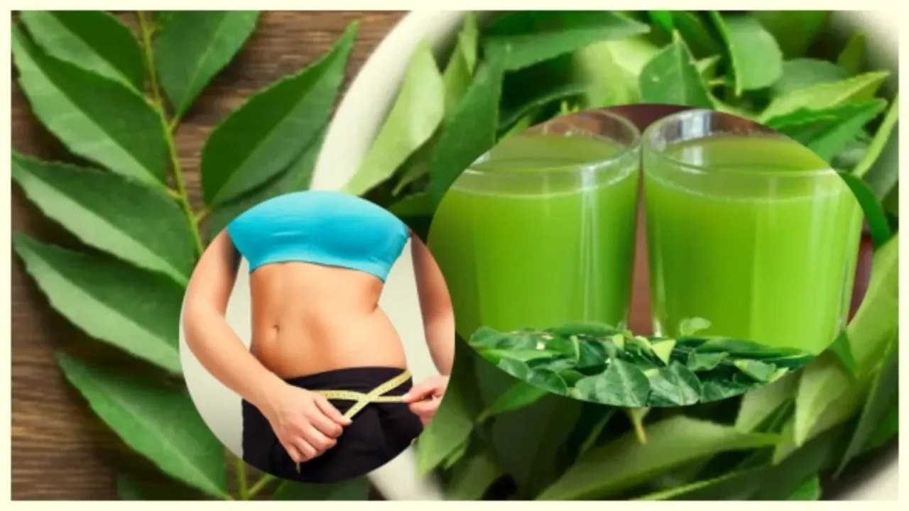 Curry leaves water: కరివేపాకు నీళ్లు తాగితే ఆరోగ్యంపై ఎలాంటి ప్రభావం చూపుతుంది?