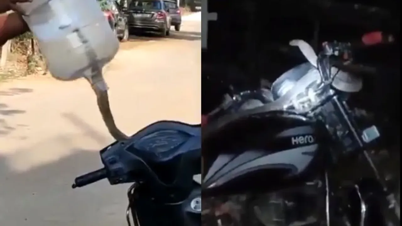 Viral Video: బైక్‌ తీయబోయిన వ్యక్తికి గుండె ఆగినంత పనైంది