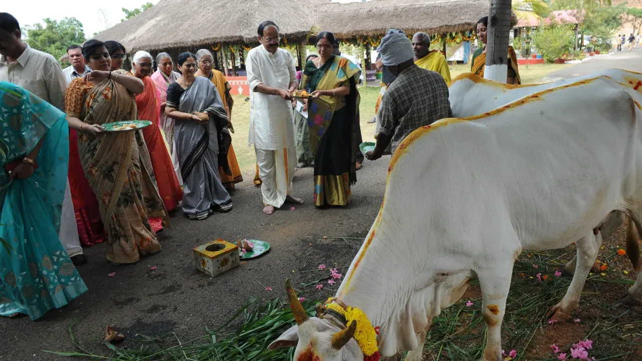 Cow And House: ఇంటి ముందుకు వచ్చిన ఆవుకు ఇలా చేస్తే ఎంతో పుణ్యం