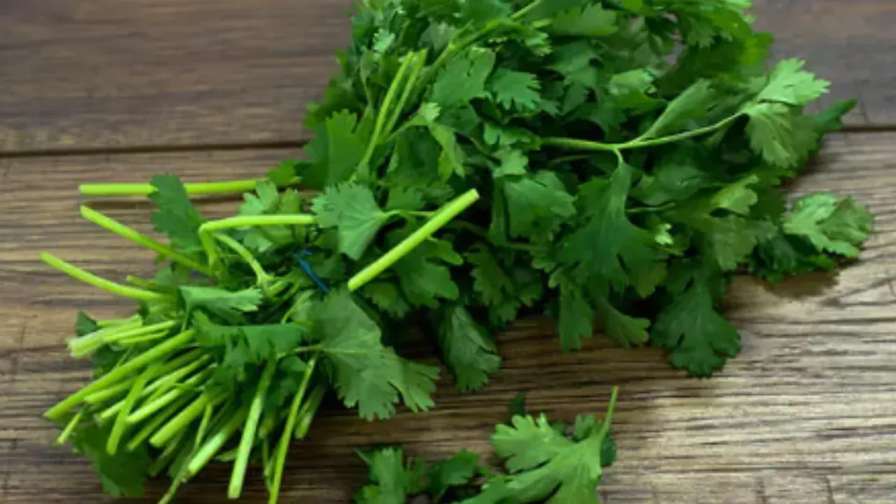 Health Tips: కొత్తిమీర నీటితో మధుమేహనికి చెక్‌ పెట్టొచ్చు..ఎలా తీసుకోవాలో తెలుసుకుందామా!