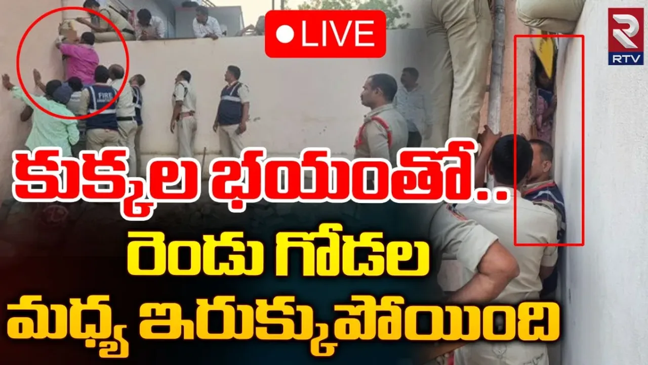 ATP : కుక్కల దాడికి రెండు గోడల మధ్య చిక్కుకున్న చిన్నారి.. చివరికి...