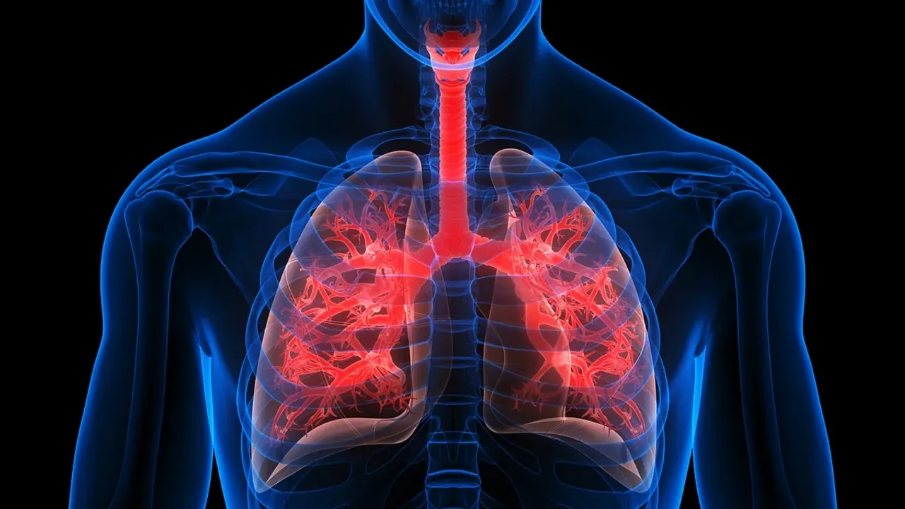 HEALTH : ఊపిరితిత్తులు దెబ్బతినే ప్రమాదం ఎవరికి ఎక్కువగా ఉంటుంది?