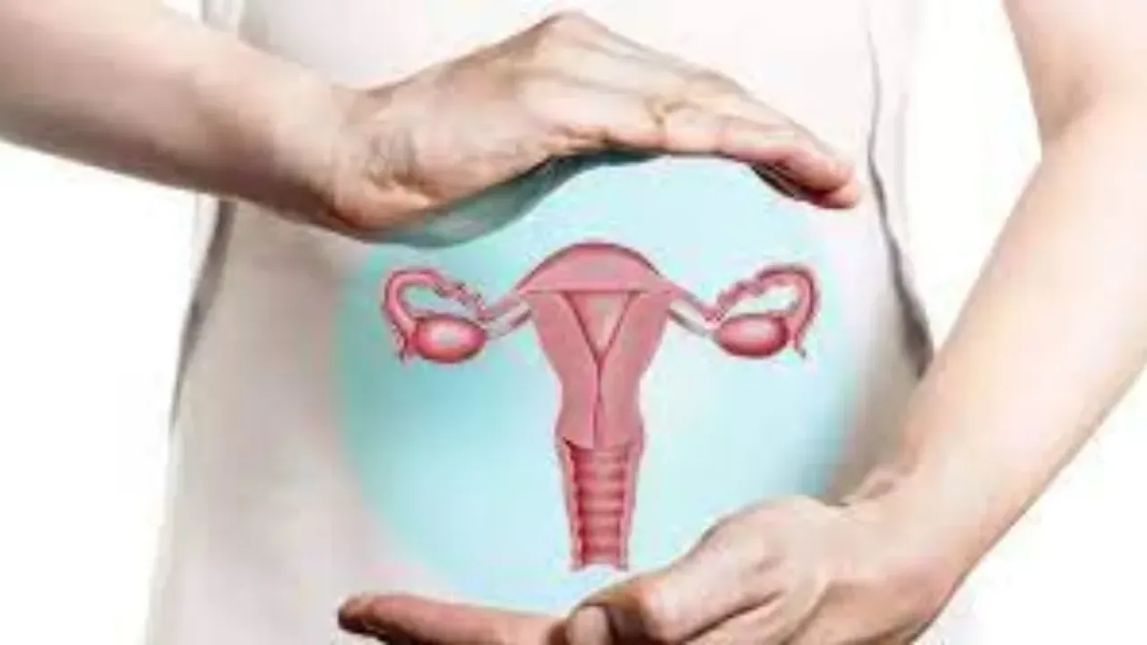 Ovarian Cancer: అండాశయ క్యాన్సర్ ఉంటే శరీరంలో ఈ లక్షణాలు కనిపిస్తాయి