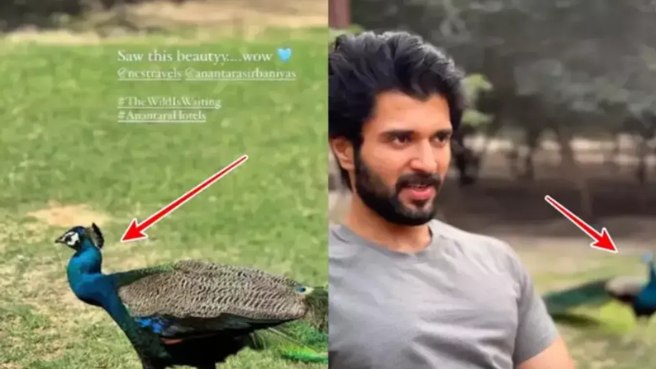 Vijay Devarakonda: మళ్లీ దొరికిపోయిన విజయ్‌-రష్మిక.. ఇదిగో ప్రూఫ్‌!