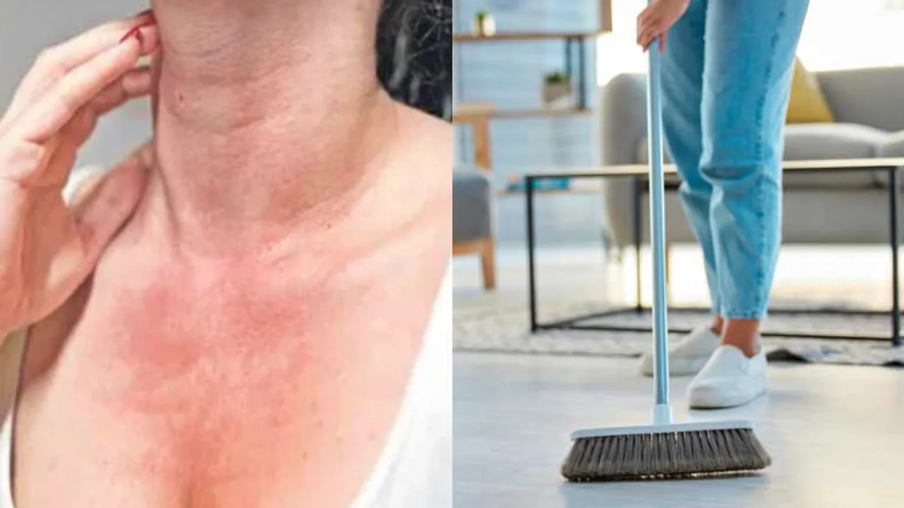 Allergy Tips: ఇంట్లోని ప్రతి మూలలో అలర్జీ ఉంటుంది.. దాన్ని ఎలా బయటకు తీయాలంటే?