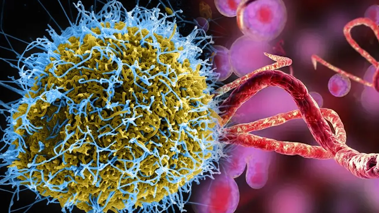 Ebola Virus:  ల్యాబ్ లో ఎబోలా వైరస్ తయారు చేసిన చైనా సైంటిస్ట్స్.. ఎందుకంటే.. 