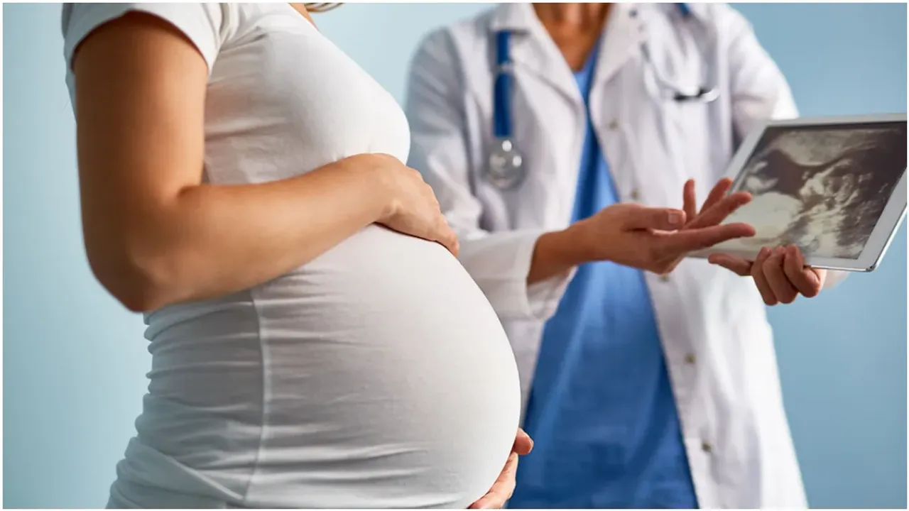 Life Style : గర్భధారణకు సరైన వయస్సు ఏది? లేట్ ప్రెగ్నెన్సీ ప్రమాదమా..? నిపుణులు ఏం చెబుతున్నారు..?