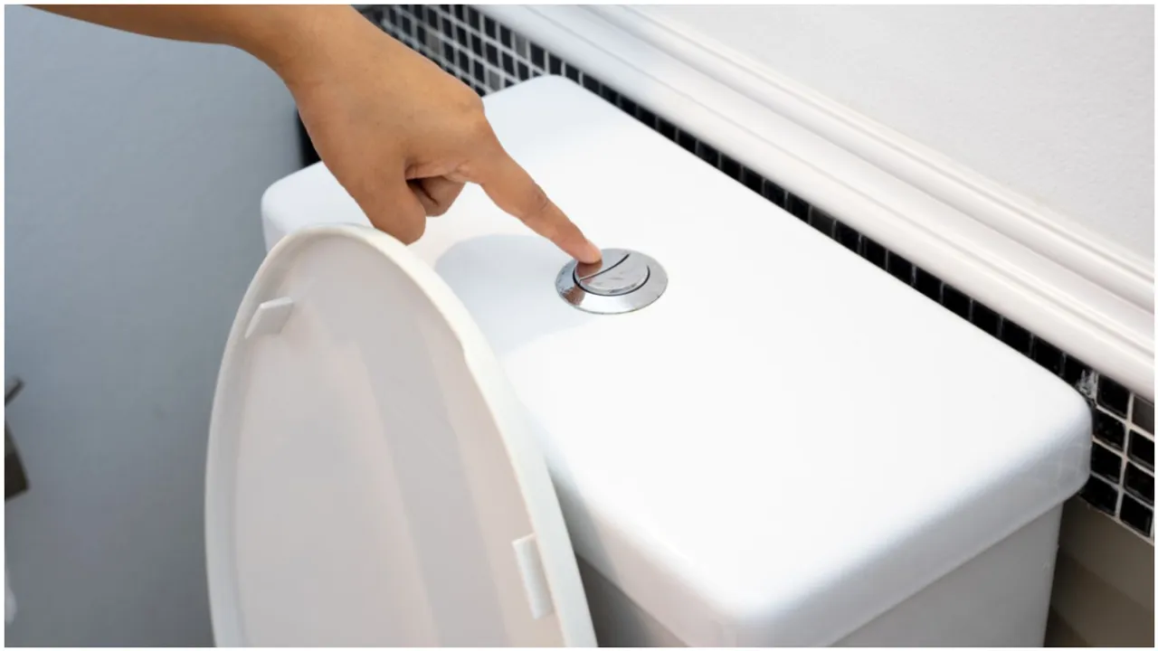 Toilet Flush: టాయిలెట్ ఫ్లష్‌లో రెండు బటన్లు ఎందుకు ఉంటాయి? ఎప్పుడైనా ఆలోచించారా..?