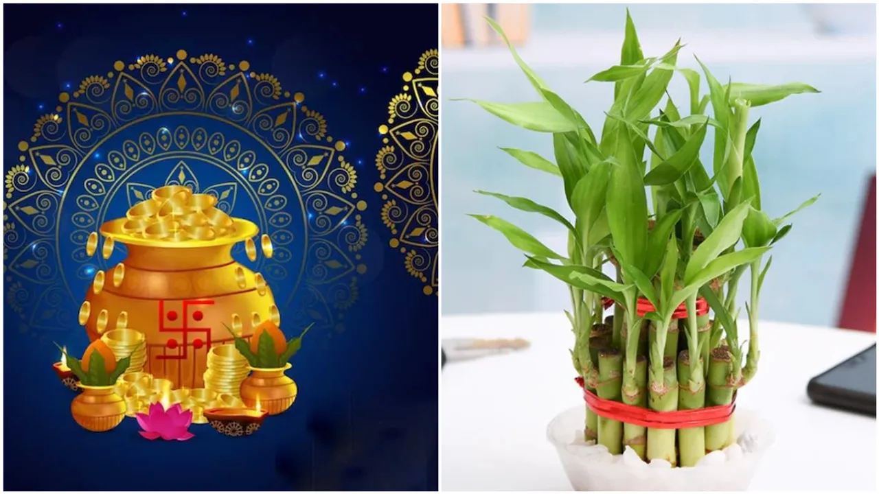 Akshay Tritiya : అక్షయ తృతీయ రోజు ఈ మొక్కలను ఇంటికి తెచ్చుకోండి.. శుభప్రదం..!