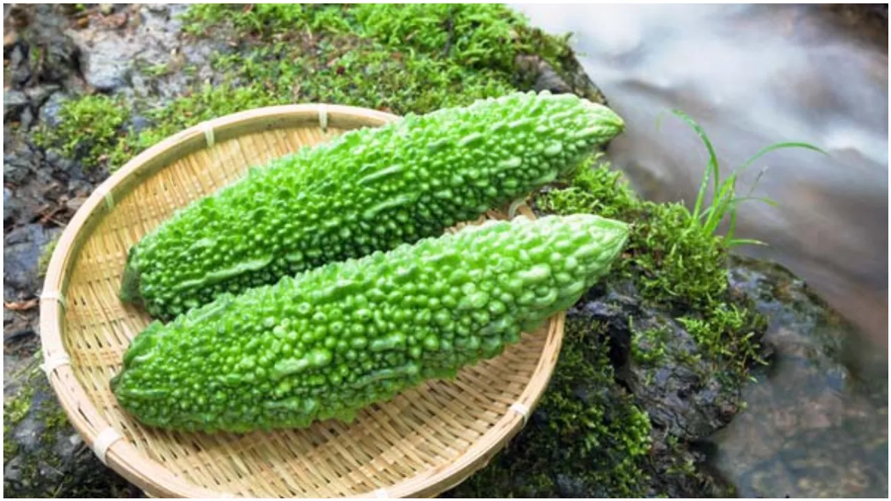 Bitter gourd: ఇలా చేస్తే కాకరకాయలోని చేదు ఒక్క క్షణంలో పోతుంది..!