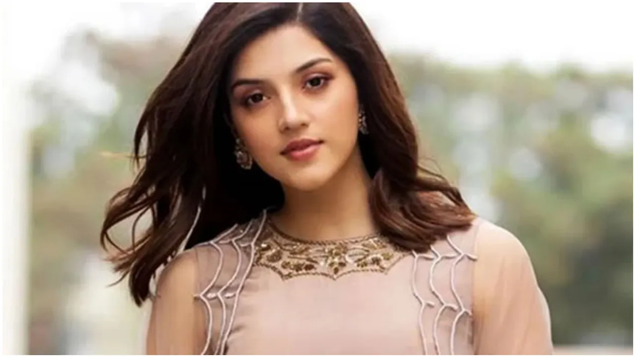 Mehreen Pirzada : మీడియా సంస్థలపై మండిపడ్డ 'ఎఫ్2' హీరోయిన్.. క్షమాపణ చెప్పాల్సిందే అంటూ?