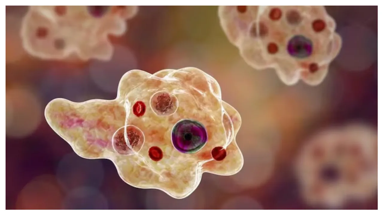 Brain Eating Amoeba : బ్రెయిన్ ఈటింగ్‌ అమీబాతో చిన్నారి మృతి..