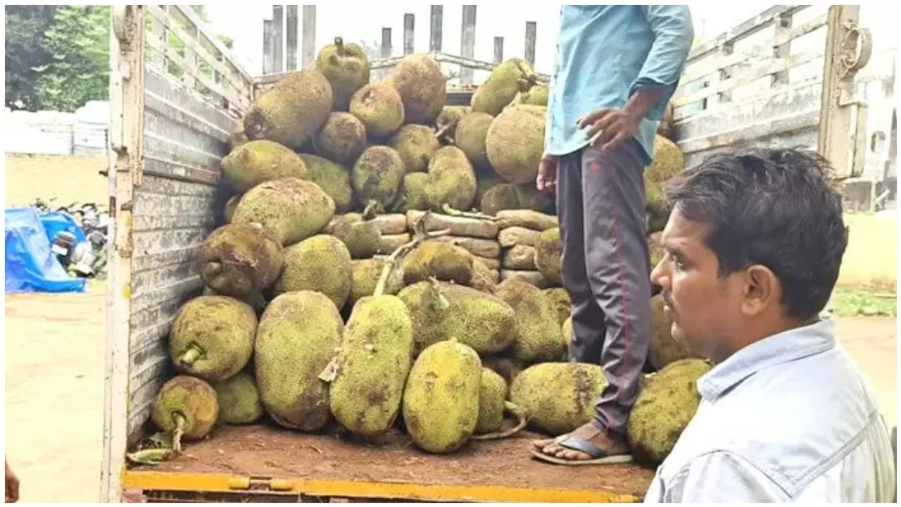 Kothagudem : ‘పుష్ప’కు మించిన ప్లాన్.. పనసకాయాల్లో గంజాయి తరలింపు!