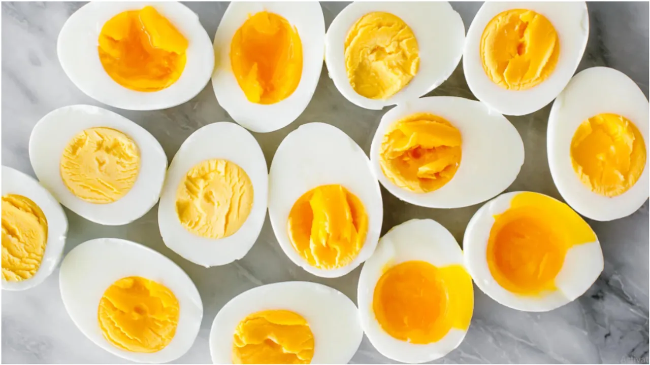 eggs 