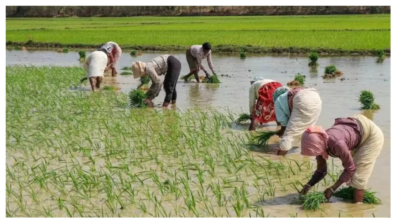 Rythu Bharosa : రైతులకు గుడ్‌న్యూస్‌.. రైతుభరోసా నిధులు విడుదల
