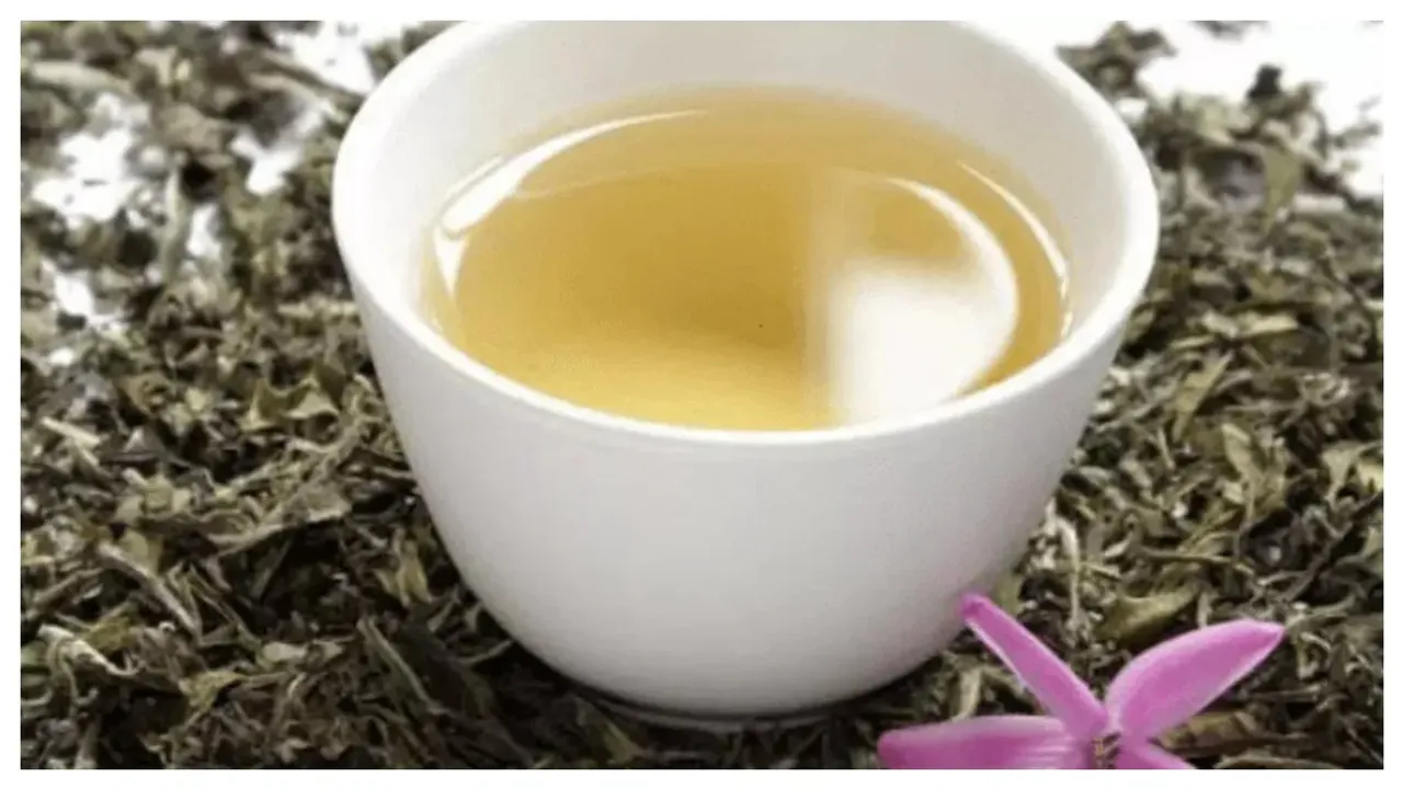 White Tea: వైట్ టీ గురించి మీరెప్పుడైన విన్నారా ?