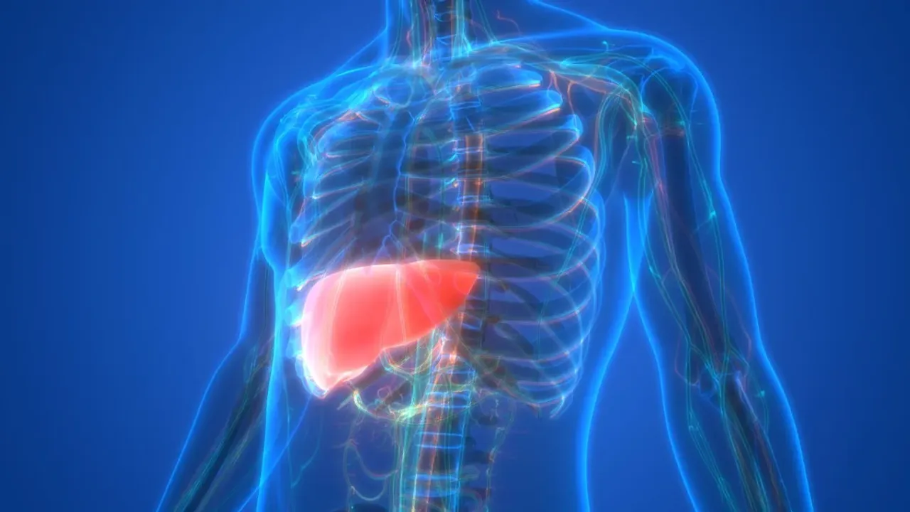 Fatty Liver: మీకు ఫ్యాటీ లివర్ వ్యాధి ఉందా? భయపడకండి.. ముందు ఈ మేటర్ ని చదవండి!