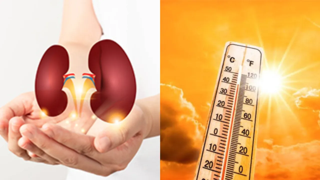 Health Tips: వేడి మనస్సు, శరీరాన్ని మాత్రమే కాకుండా మూత్రపిండాలను కూడా ప్రభావితం చేస్తుంది.. ఎలాగంటే?
