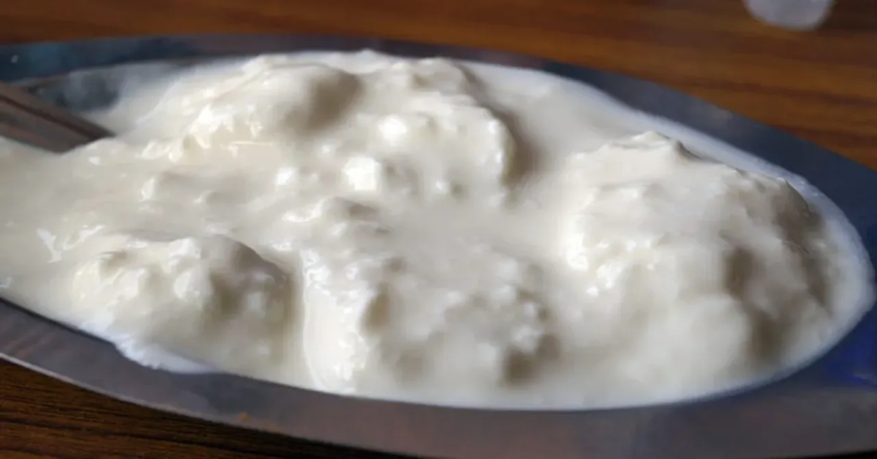 Curd In Summer | వేసవిలో పెరుగు తింటున్నారా..? బెనిఫిట్స్ ఇవే