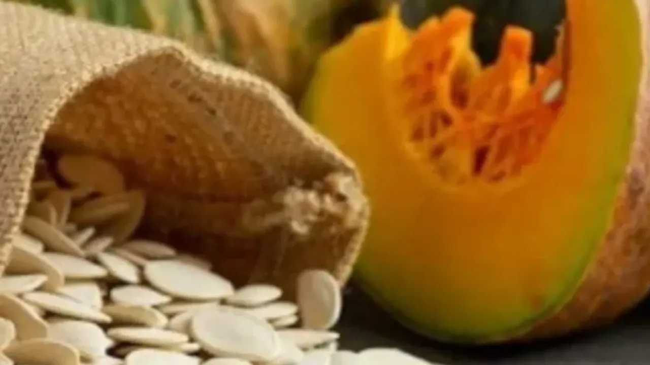 Health Tips : ఆరోగ్య నిధి గుమ్మడి గింజలు..వీటిని ఎలా జాగ్రత్త చేసుకోవాలంటే!