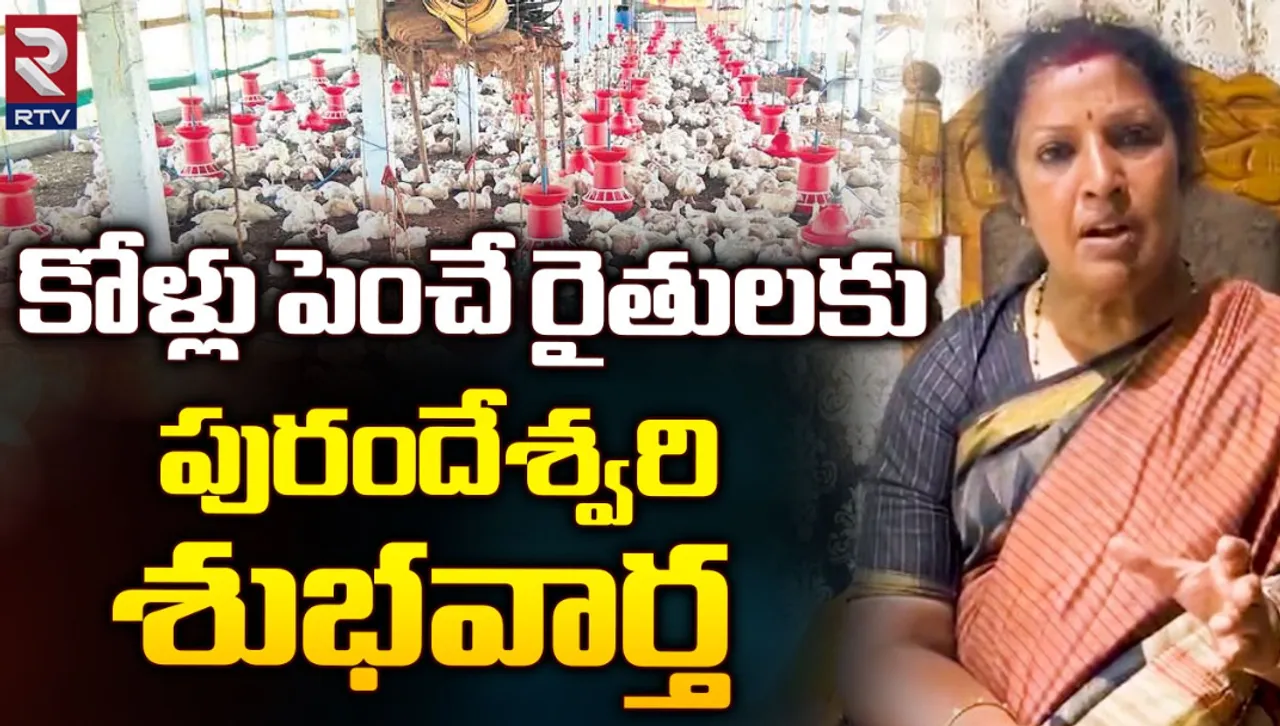 Purandeswari : కోళ్లు పెంచే రైతులకు శుభవార్త చెప్పిన పురంధేశ్వరి!
