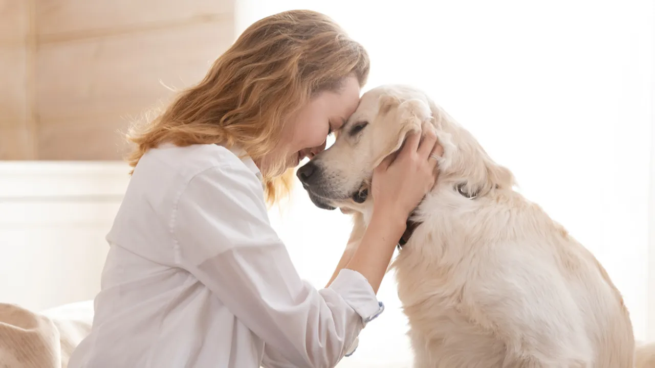 Dogs Tips: పెంపుడు కుక్క లేదా పిల్లి వయస్సు పెరిగినప్పుడు వాటిని ఎలా చూసుకోవాలి?