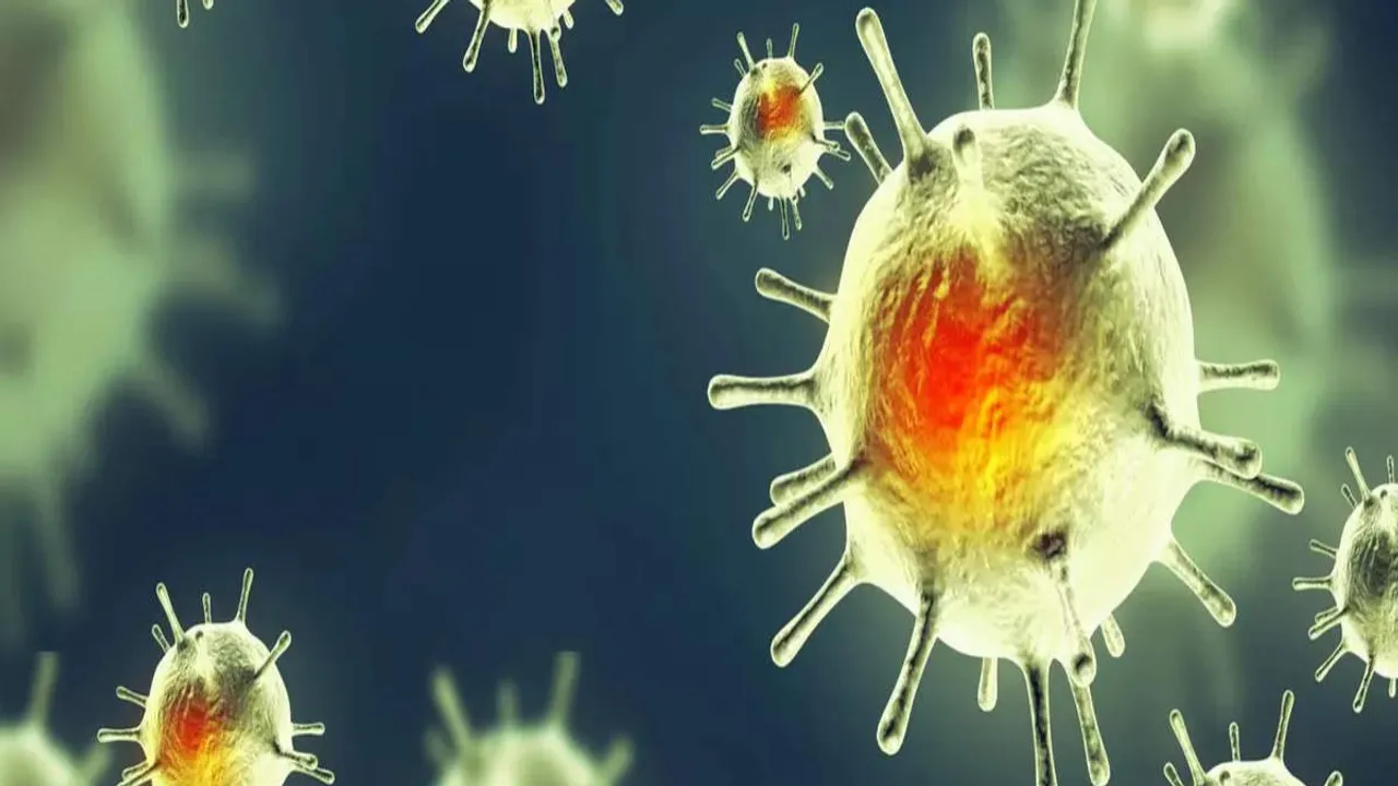Health Tips: వ్యాధి X అంటే ఏంటి? ఈ విషయాలు మీకు తెలుసా?