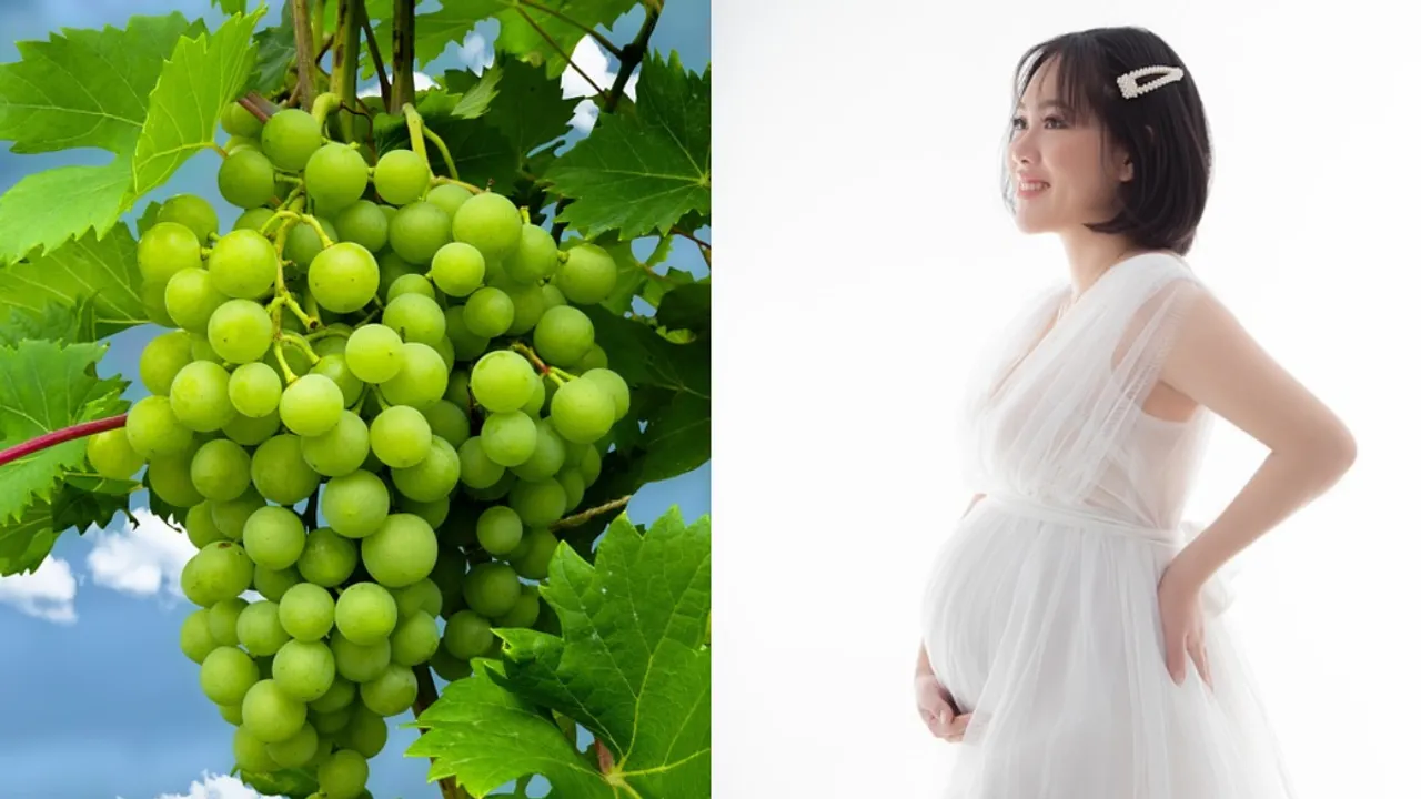 Pregnancy: గర్భధారణ సమయంలో ఈ తీపి, పుల్లని పండ్లను తినవద్దు.. సమస్యలు పెరుగుతాయి!