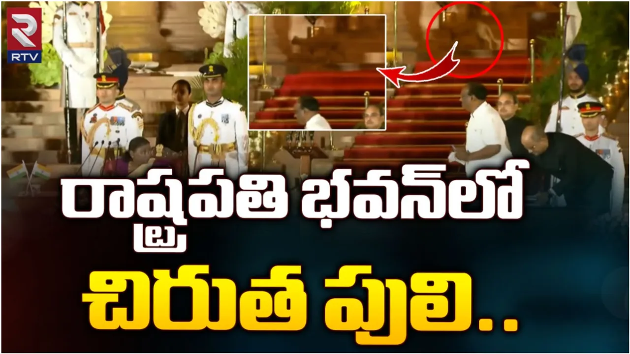 Delhi: అది పులి కాదు పిల్లి.. పనికిమాలిన వార్తలు ఆపండి: ఢిల్లీ పోలీసులు